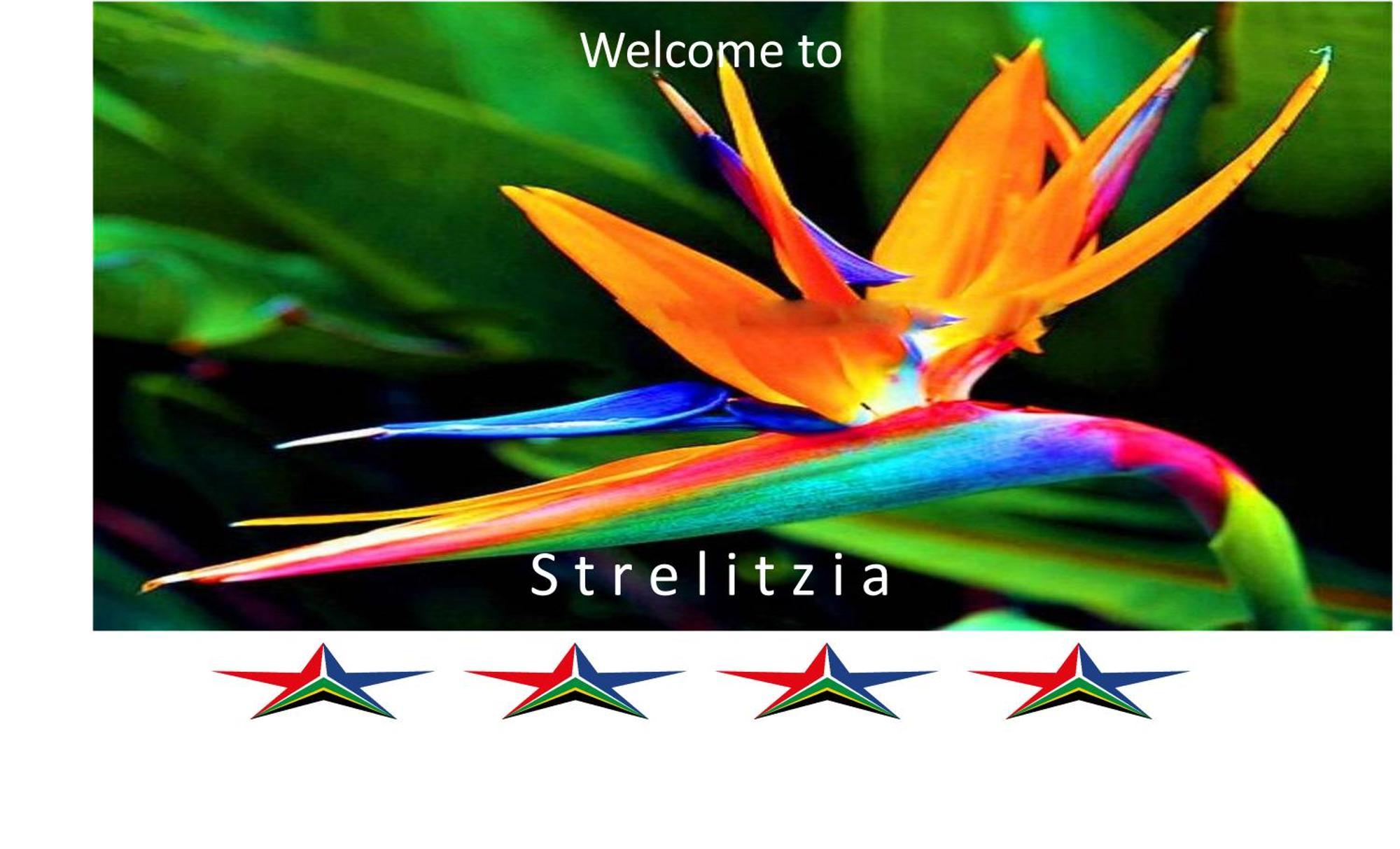 Strelitzia - 4 Star Self-Catering Lägenhet Kapstaden Exteriör bild